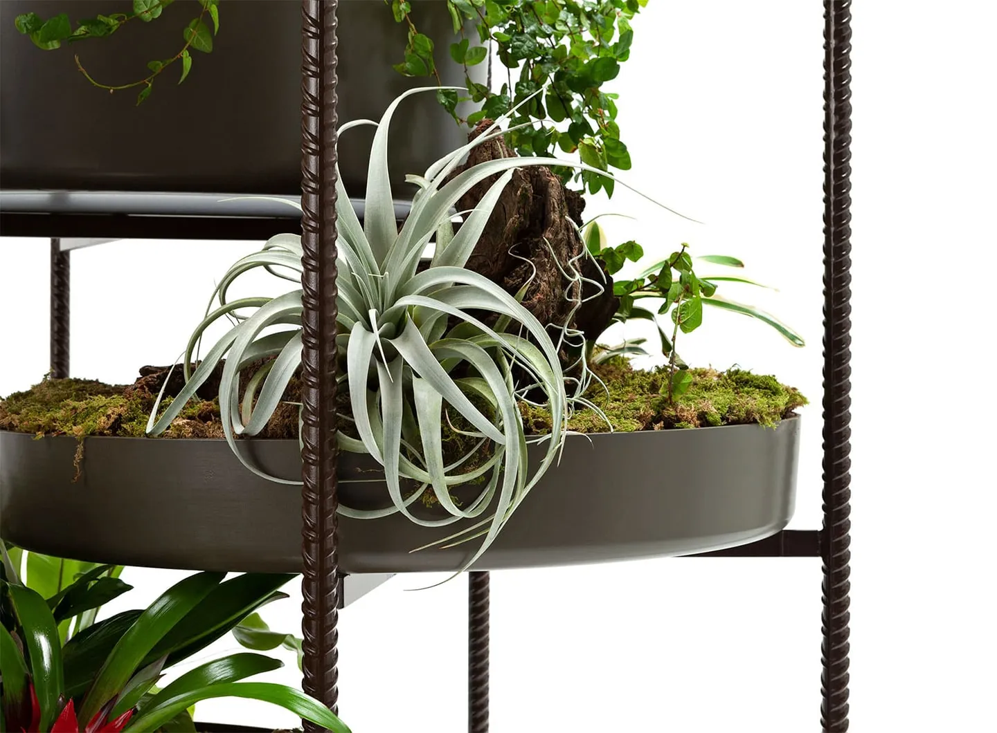 Exteta - Vertical Garden