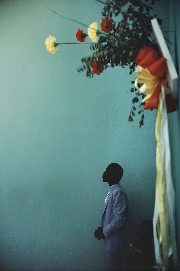 Alex Webb