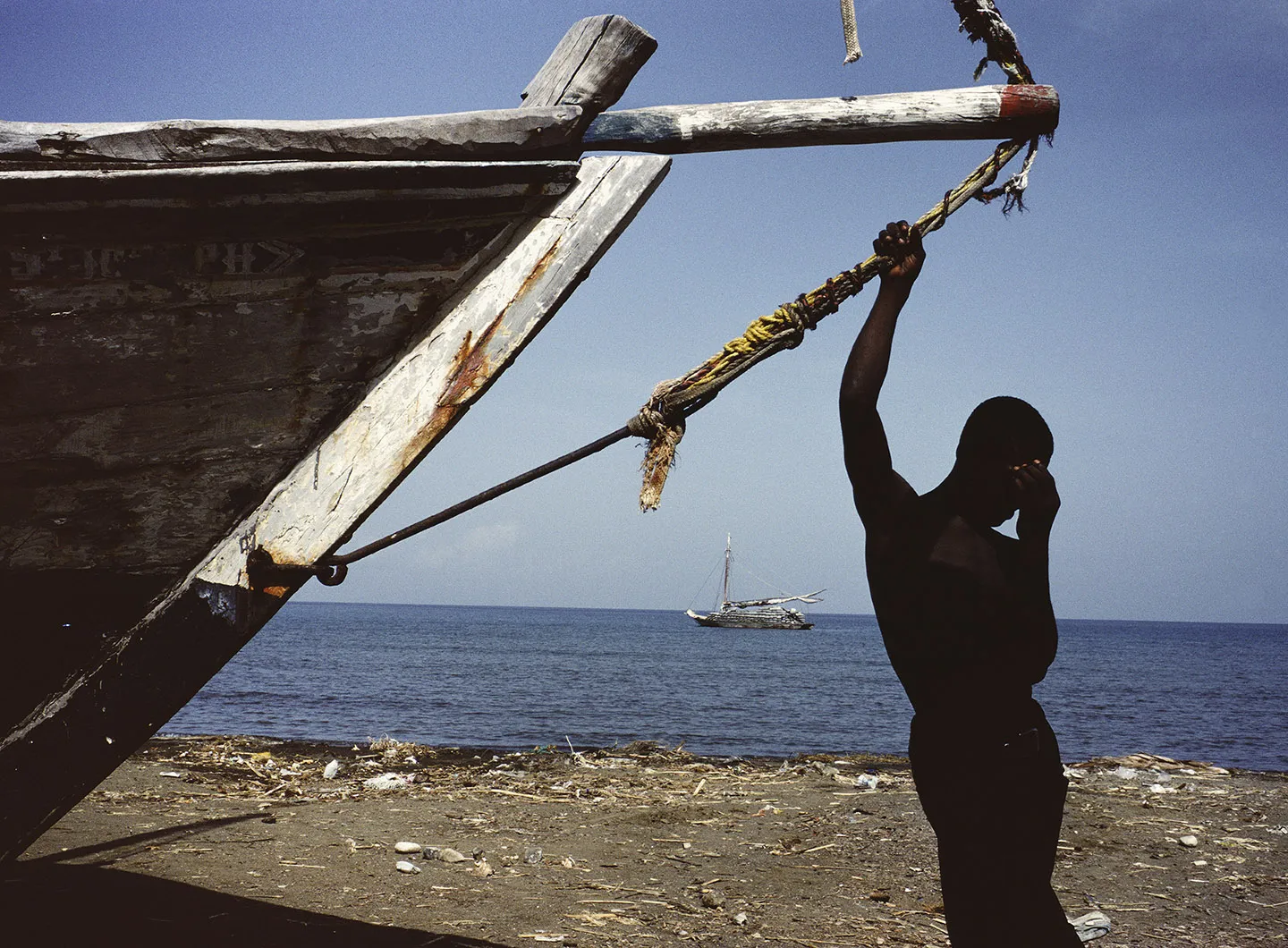 Alex Webb