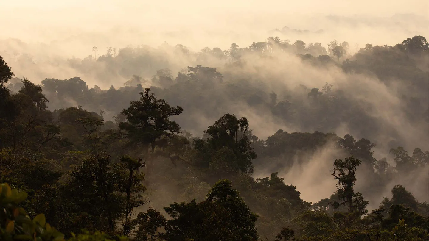 Canandé reserve, Ecuador