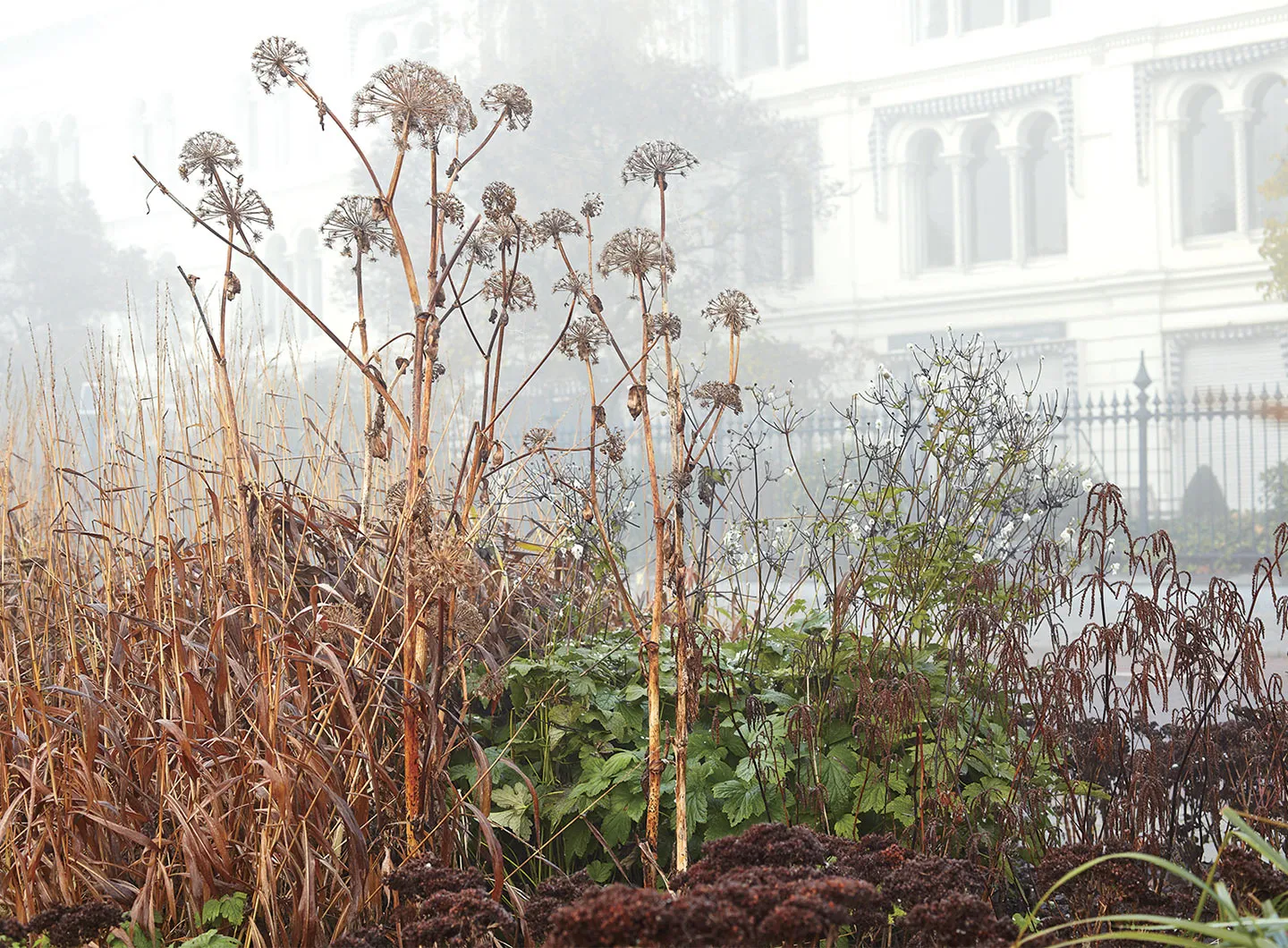 7_GAL_Piet Oudolf_Planting_salone mobile