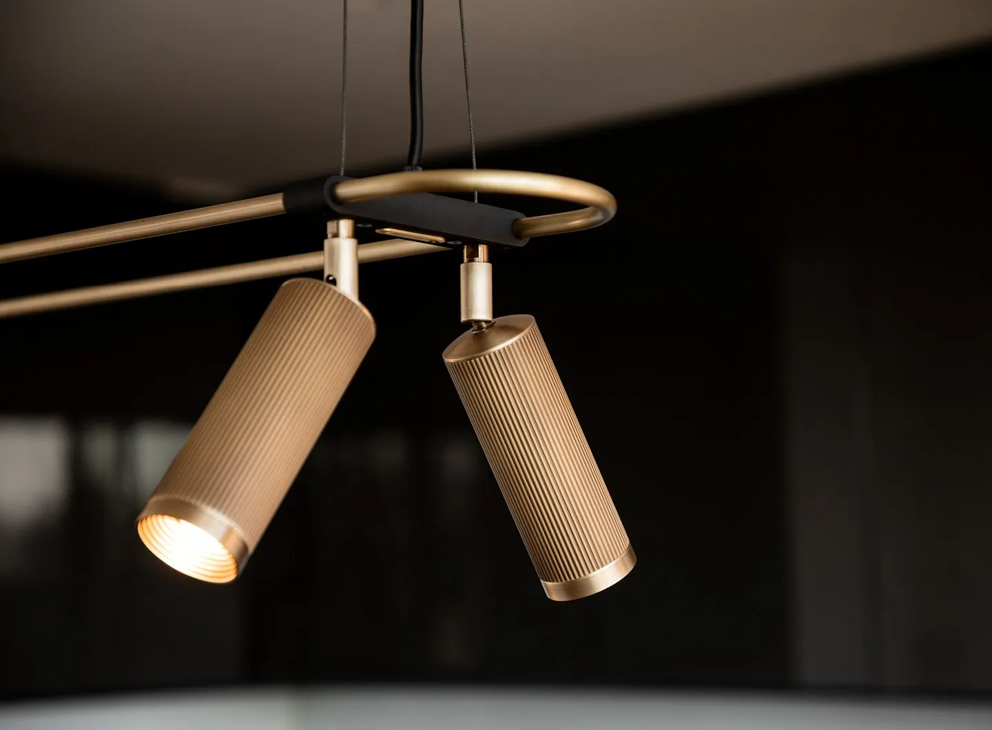 Spot Pendant Light