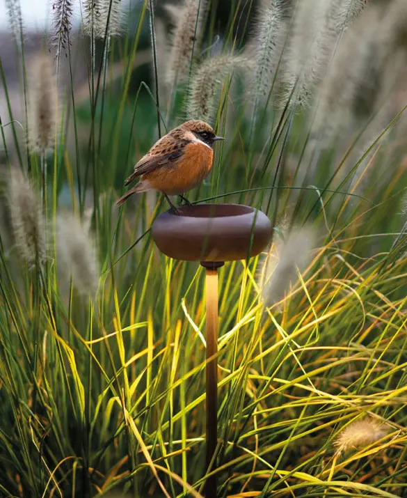 9010-OOLITE CUP