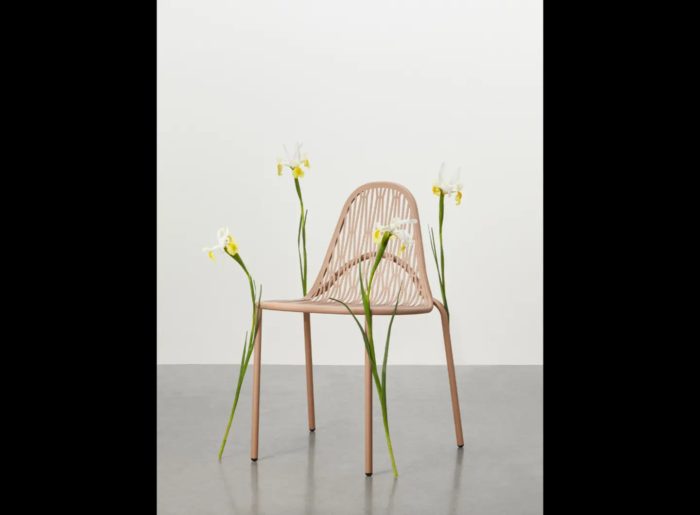 SCAB chair Malvasia