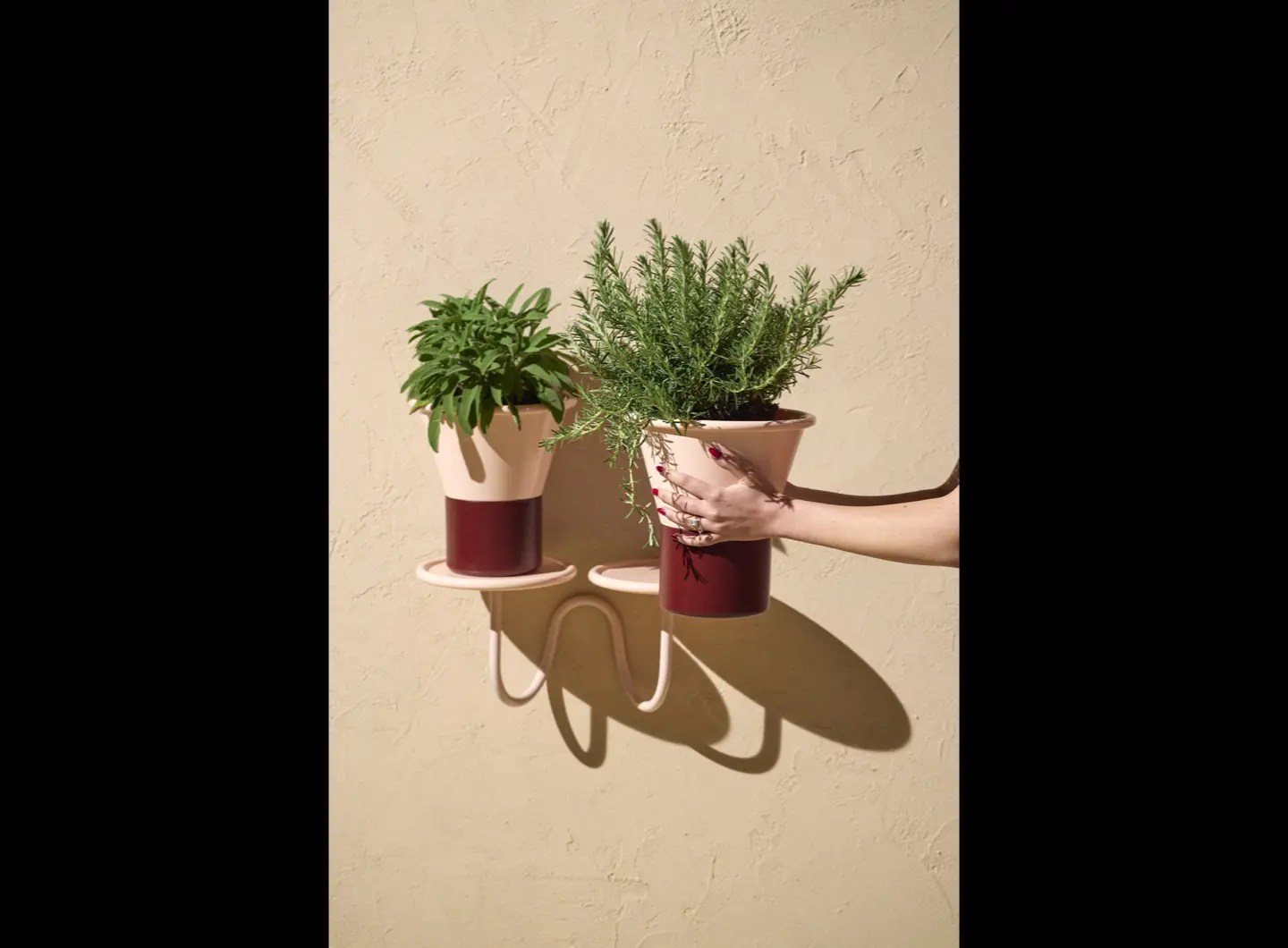 SCAB Mimosa wall-mounted plant holder
