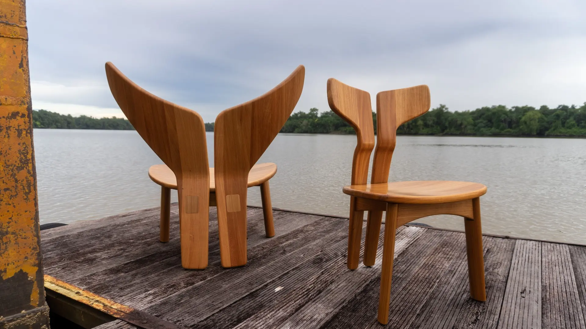 FAUNA COLLECTION RIVER